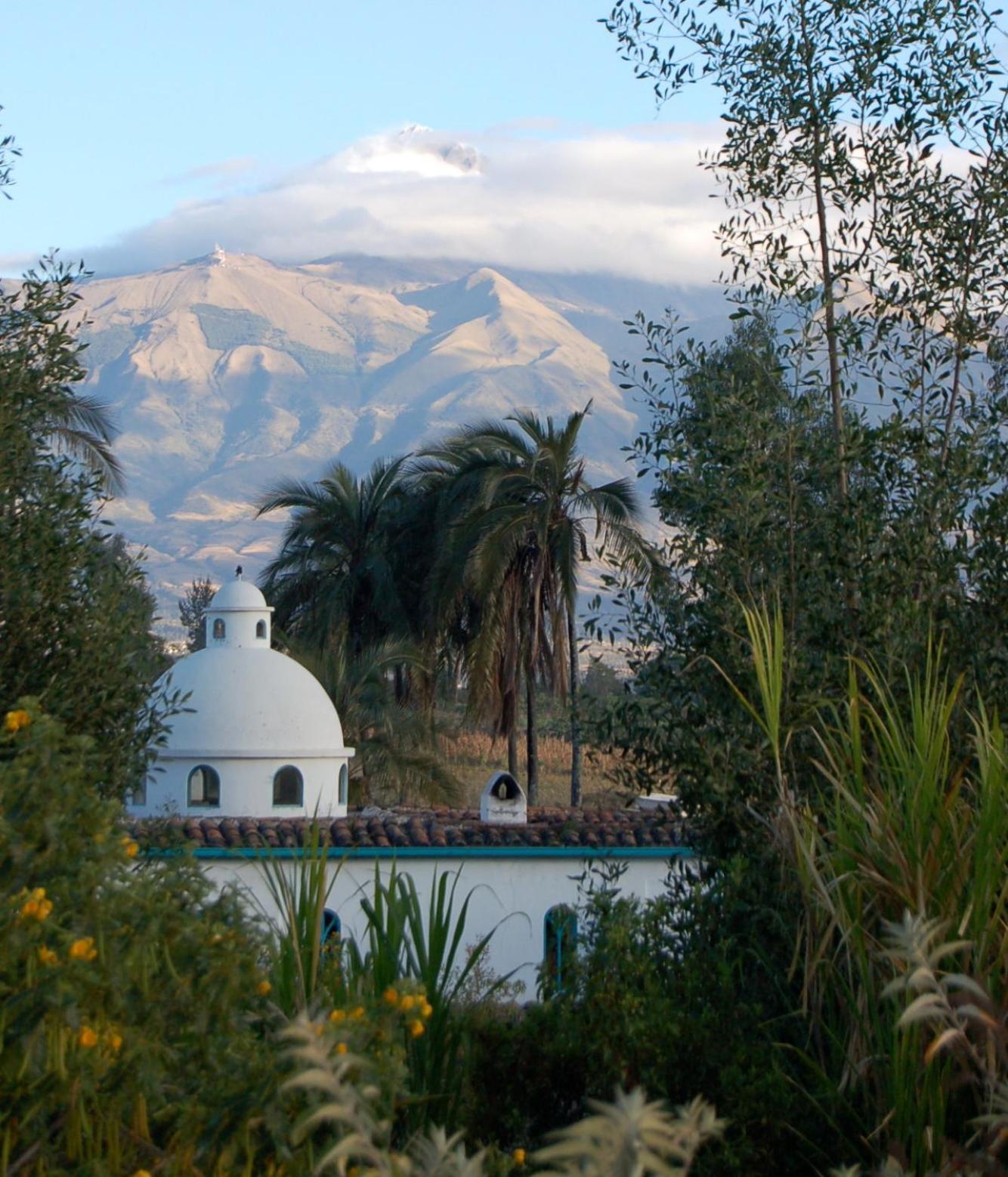 Las Palmeras Inn Отавало Экстерьер фото