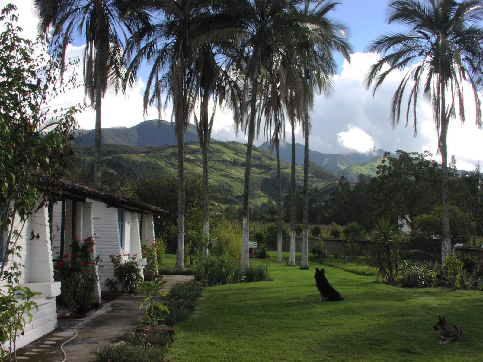 Las Palmeras Inn Отавало Экстерьер фото